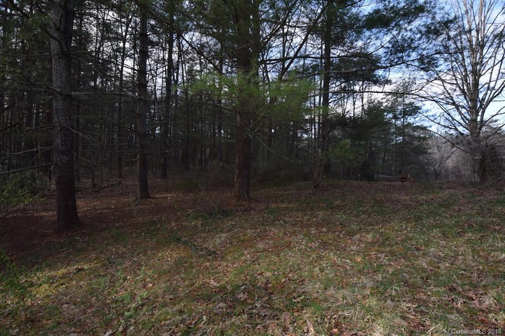 9999 Bee Ridge Road Asheville, NC 28803 - Photo 14 of 22 Gallery Image 14