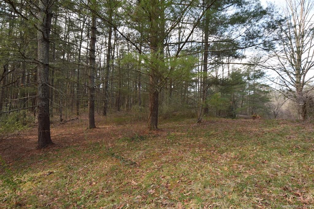 9999 Bee Ridge Road Asheville, NC 28803 - Photo 15 of 22 Gallery Image 15