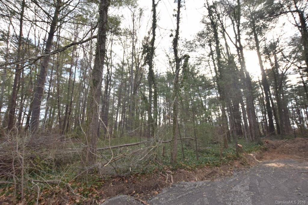 9999 Bee Ridge Road Asheville, NC 28803 - Photo 3 of 22 Gallery Image 3