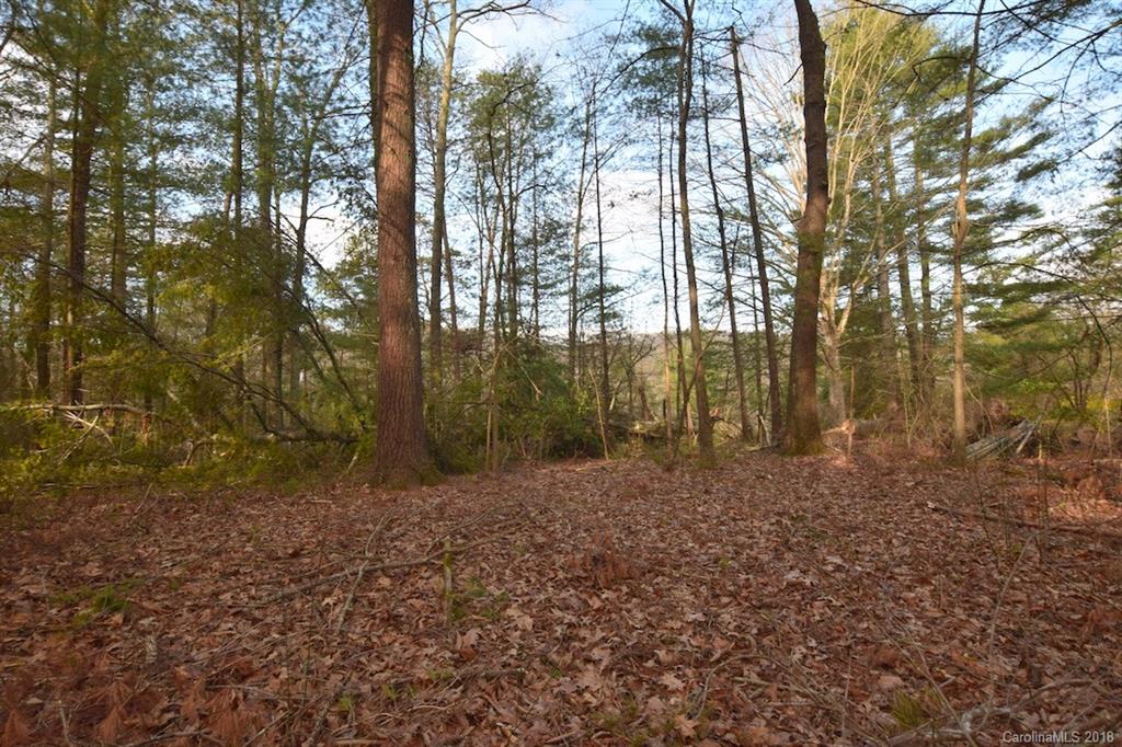 9999 Bee Ridge Road Asheville, NC 28803 - Photo 21 of 22 Gallery Image 21
