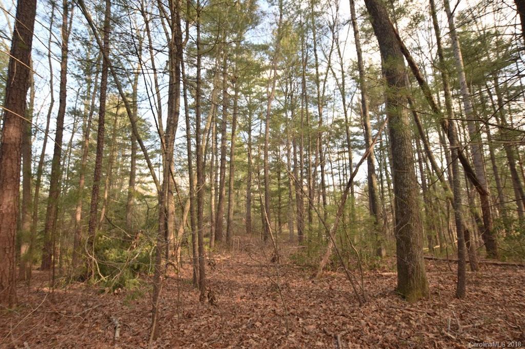 9999 Bee Ridge Road Asheville, NC 28803 - Photo 5 of 22 Gallery Image 5