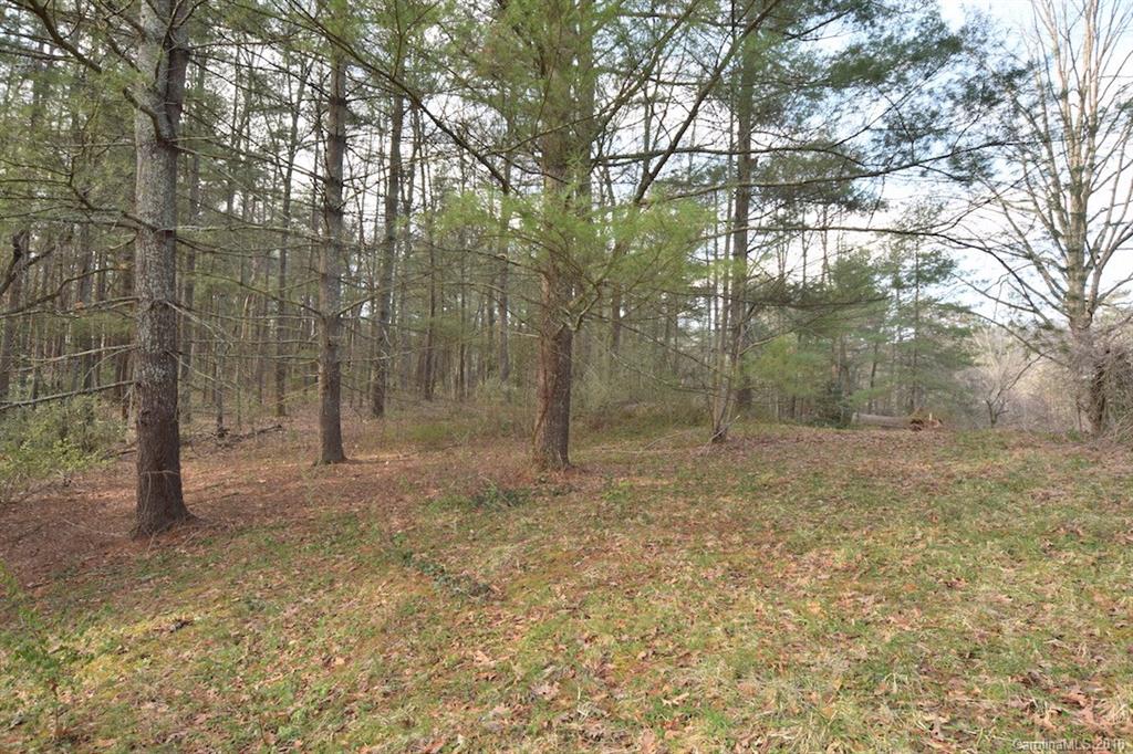 9999 Bee Ridge Road Asheville, NC 28803 - Photo 6 of 22 Gallery Image 6