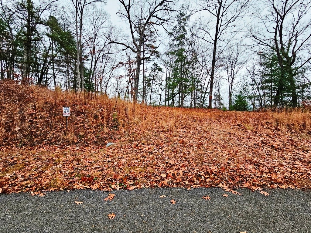 Lot 48 Wayah Ridge Murphy, NC 28906 - Photo 2 of 20 Gallery Image 2
