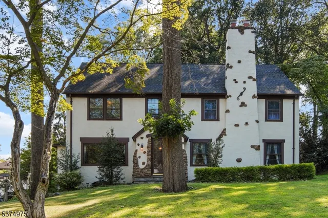a front view of house with yard and entertaining space