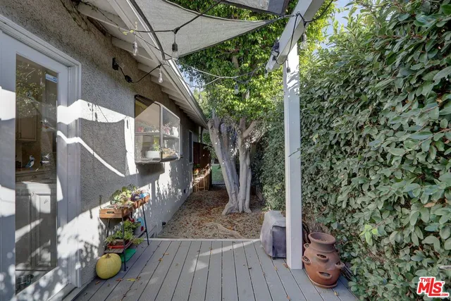 a view of a garden with flowers