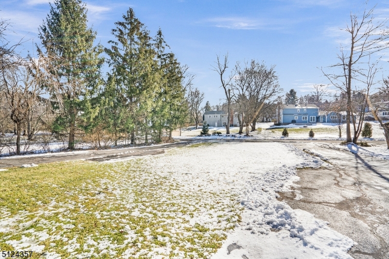 1 Tempe Wick Road, Unit A Mendham, NJ 07945 - Photo 22 of 22 a view of road with trees