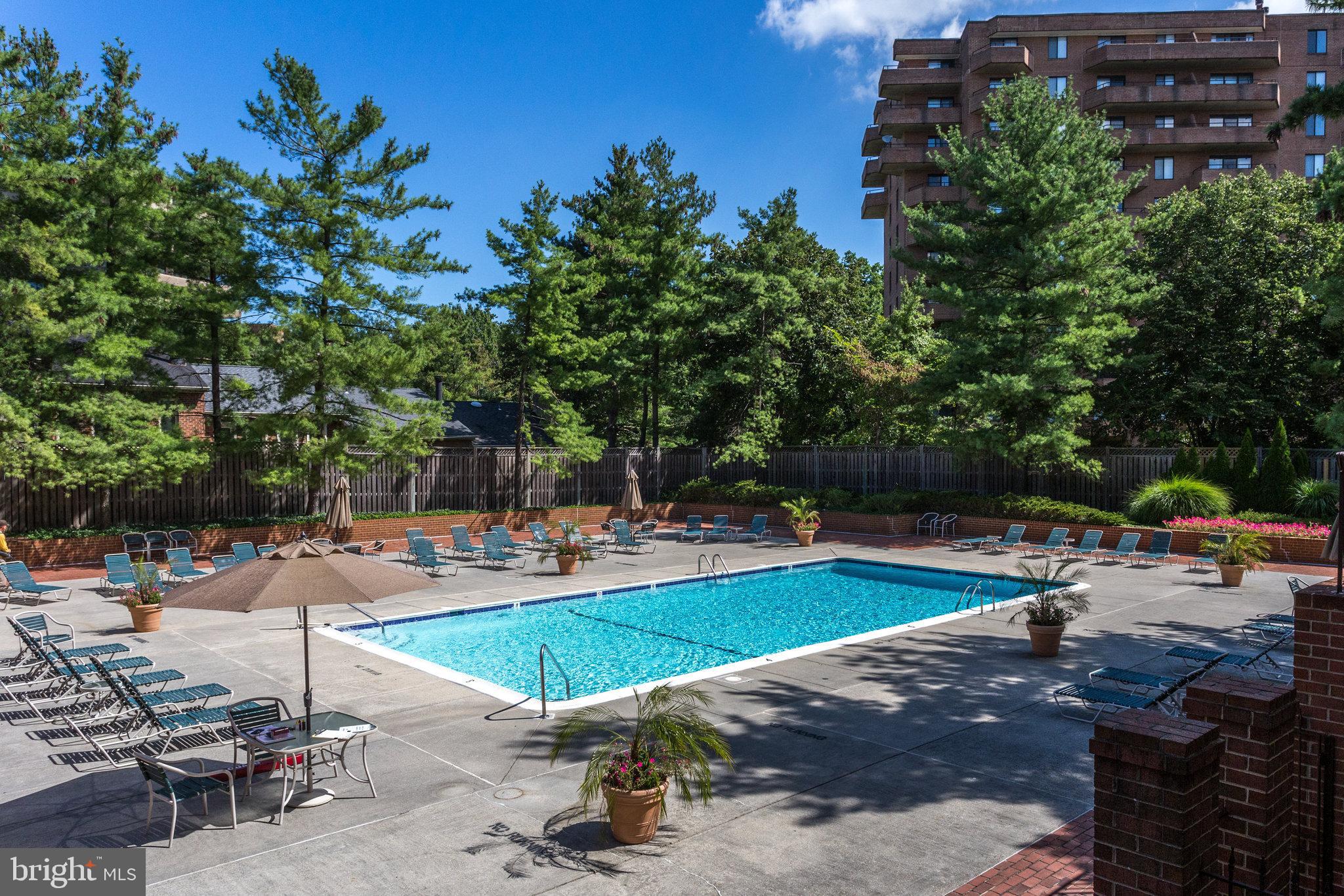 3275 Sutton Place Northwest, Unit A Washington, DC 20016 - Photo 26 of 27 a view of a swimming pool with lawn chairs under an umbrella