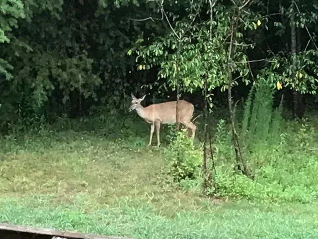 $452,000 | 152 Highland Drive, Dunlap, TN 37327