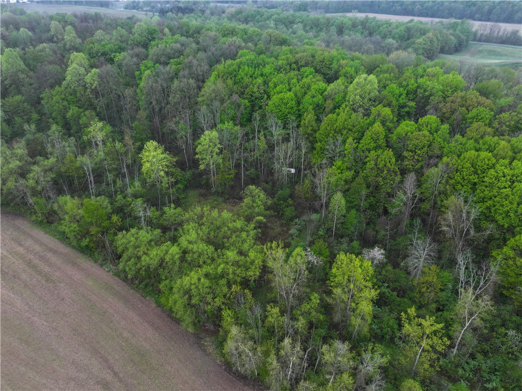 1537 Tyre ( Entire Parcel) Road Clyde, NY 14433 - Photo 14 of 39