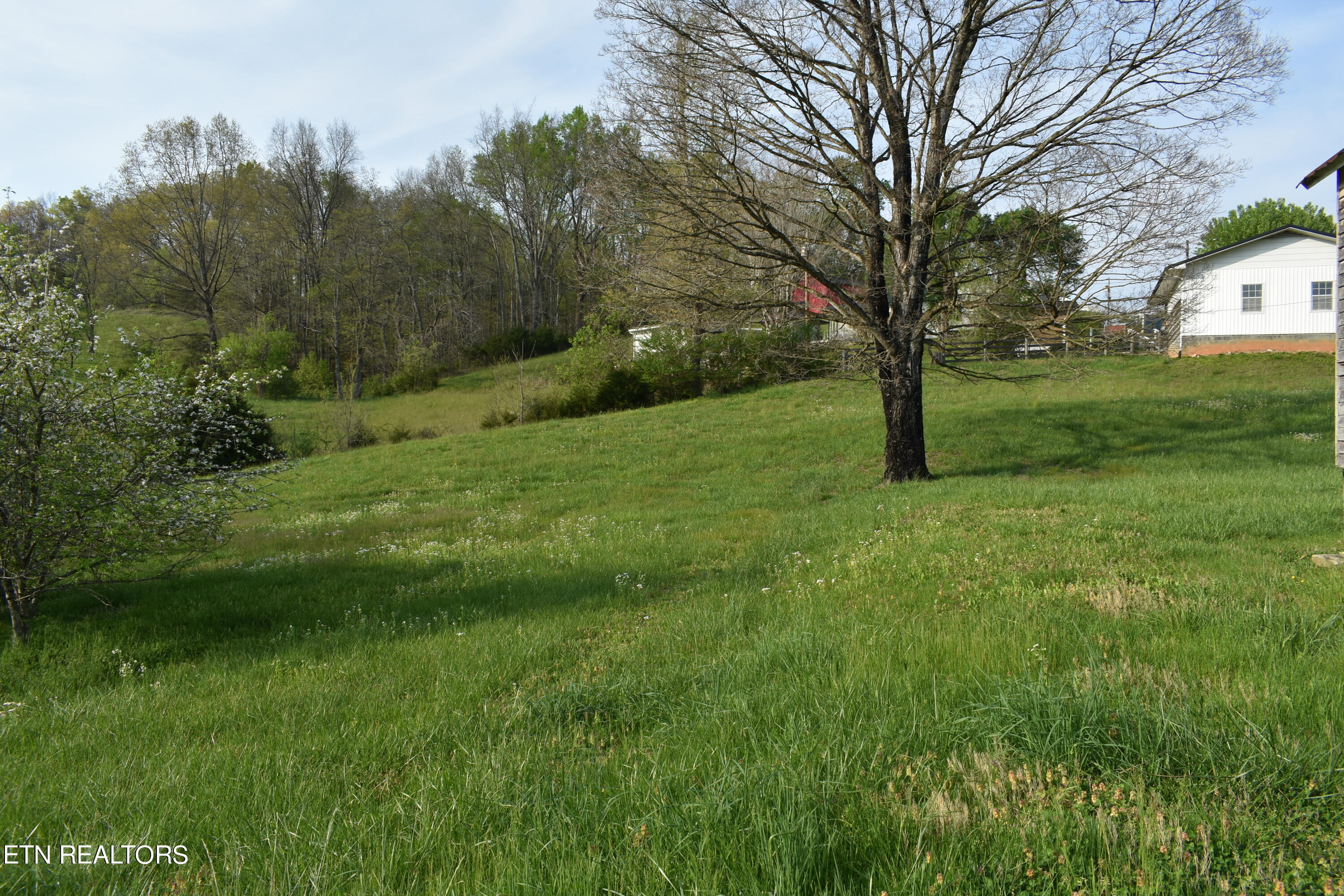 226 Hill Road Harrogate, TN 37752 - Photo 23 of 36 DSC_4836