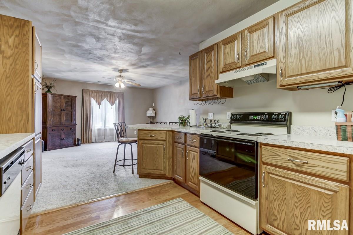 91 Potomac Road Rochester, IL 62563 - Photo 10 of 33
