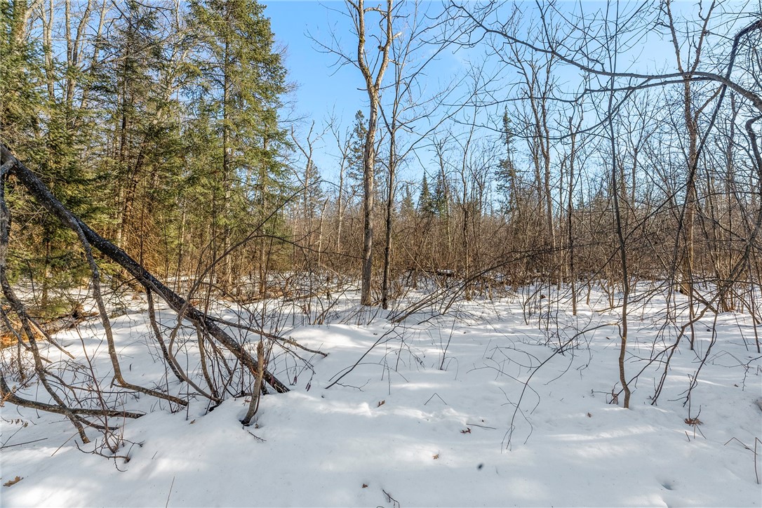 431 Spring Lake Road Rhinelander, WI 54501 - Photo 29 of 38 .81 of an acre