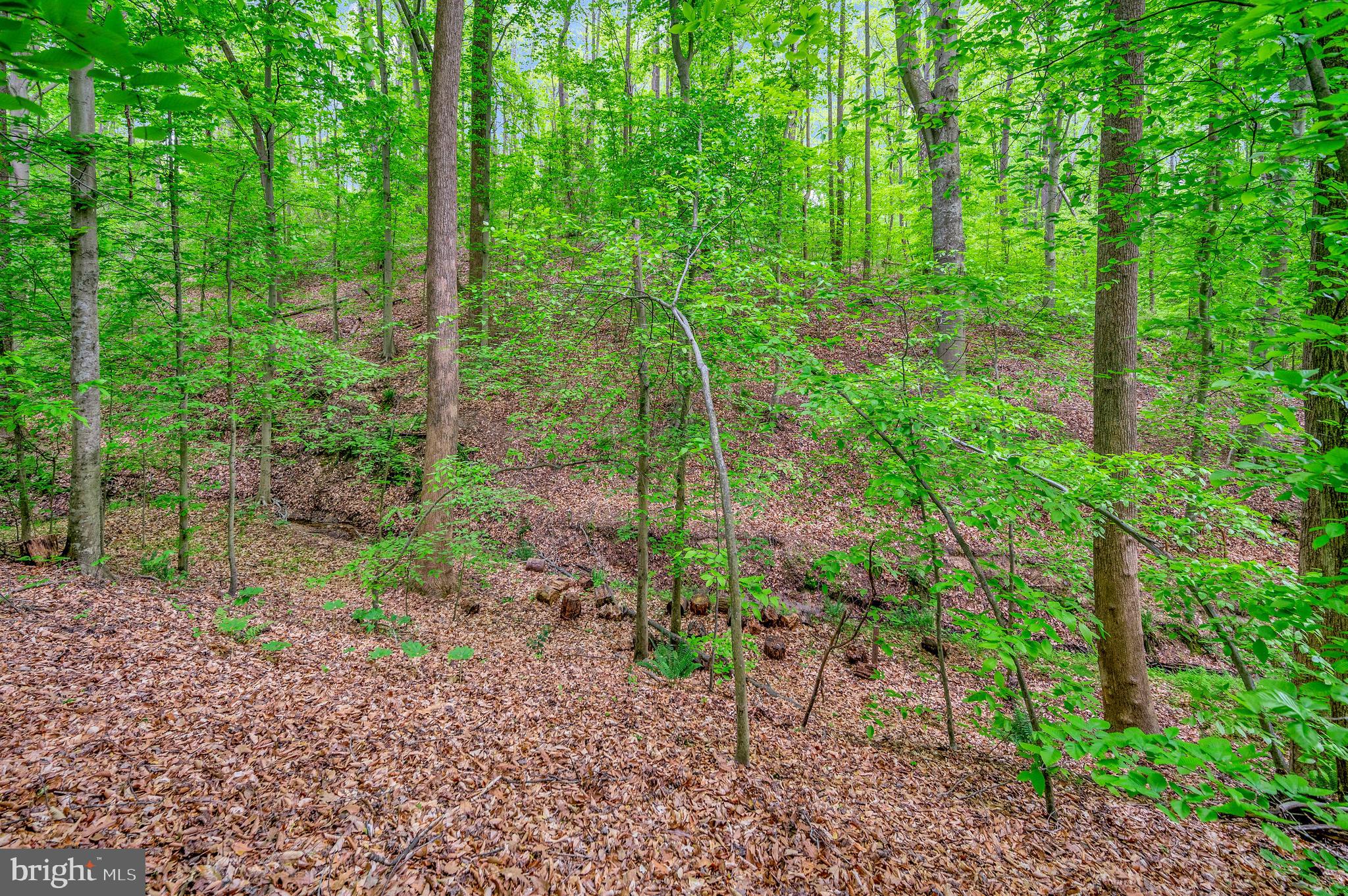 7652 Indiantown Road King George, VA 22485 - Photo 51 of 56 Gallery Image 51