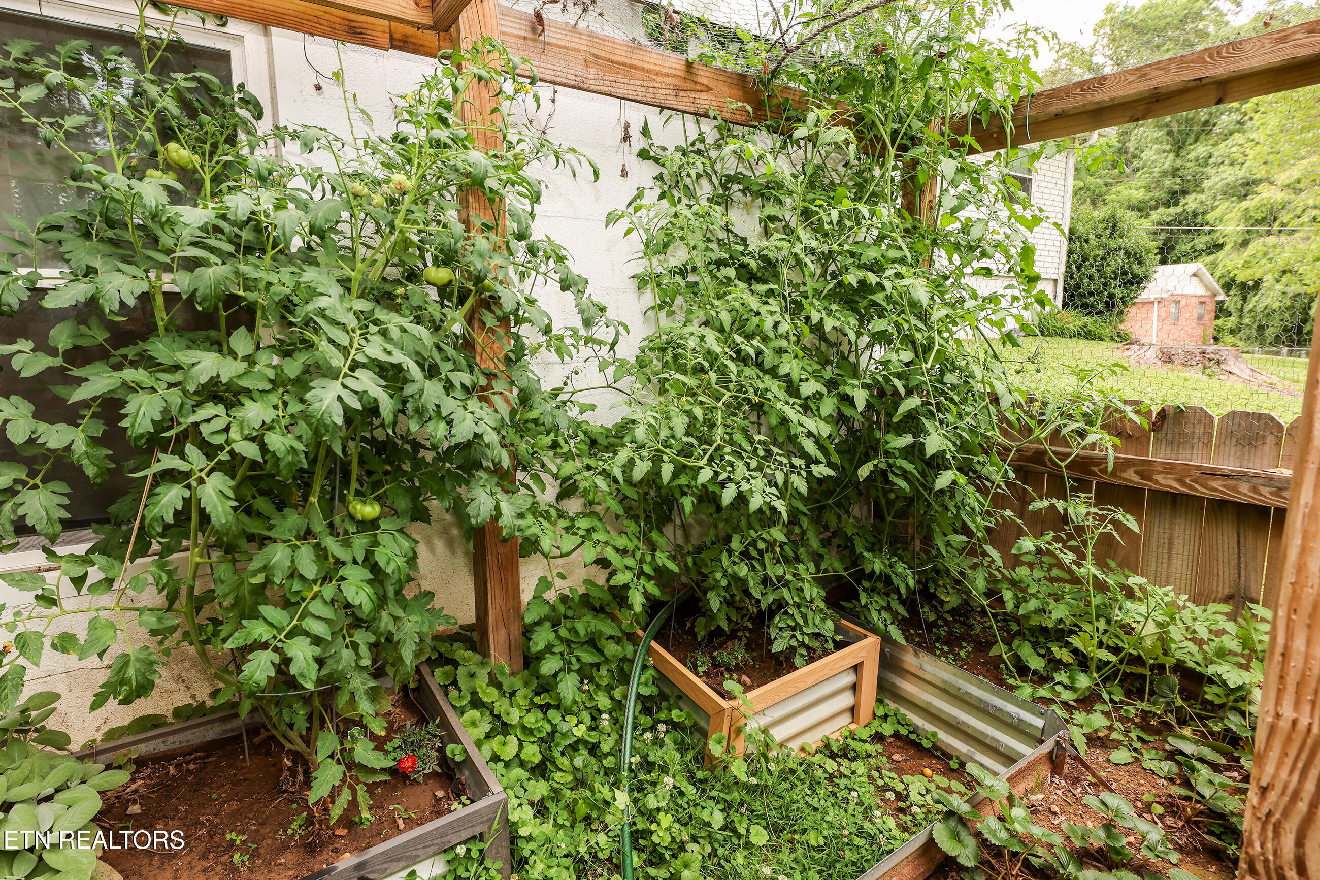 117 Tabor Road Oak Ridge, TN 37830 - Photo 42 of 50 117 garden 1