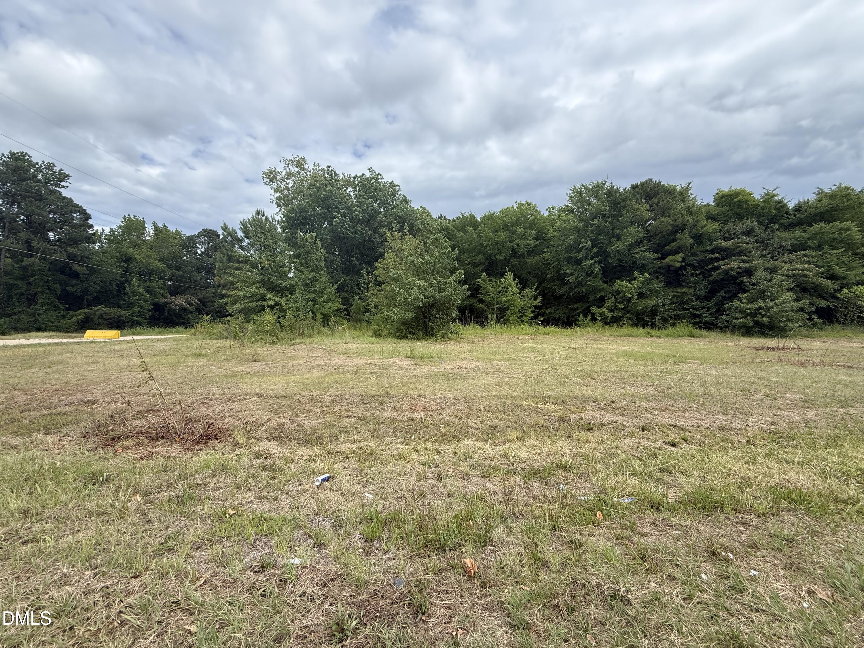 264 North 15th Street Erwin, NC 28339 - Photo 3 of 6