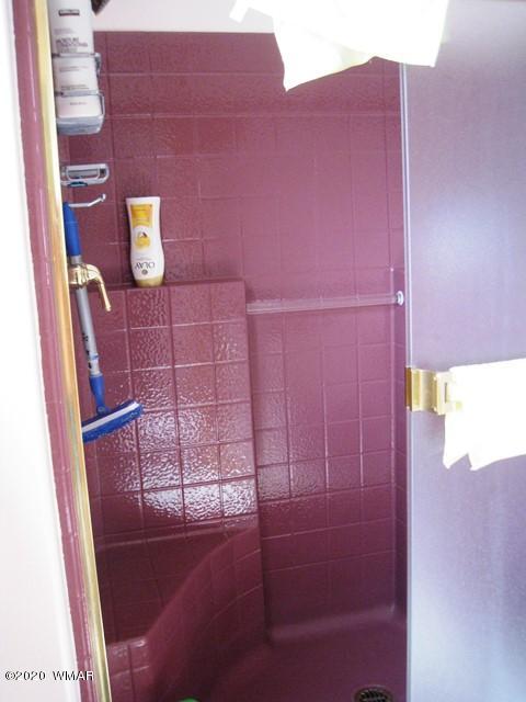 1922 Artist Draw Road Heber, AZ 85928 - Photo 35 of 63 a bathroom with a shower