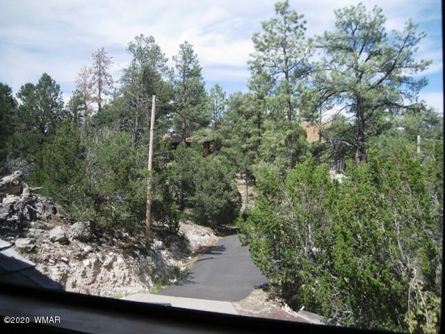 1922 Artist Draw Road Heber, AZ 85928 - Photo 39 of 63