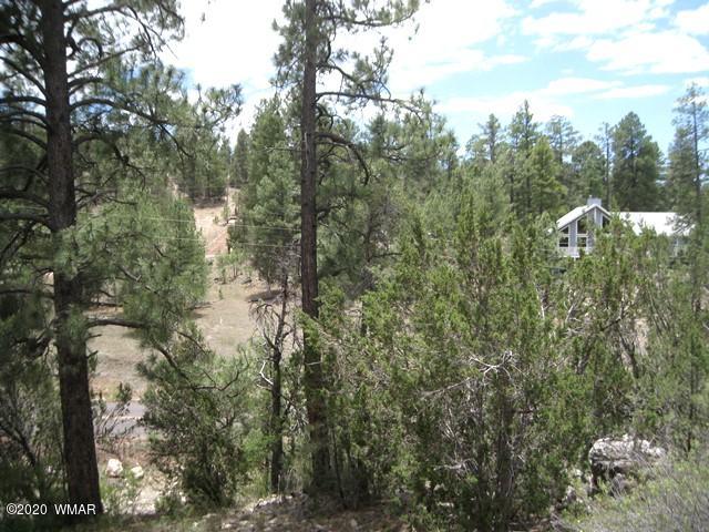 1922 Artist Draw Road Heber, AZ 85928 - Photo 59 of 63 a view of a city with lush green forest
