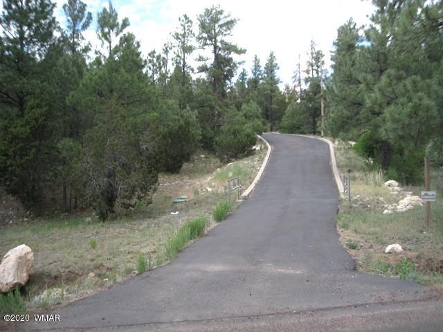 1922 Artist Draw Road Heber, AZ 85928 - Photo 62 of 63 a view of a yard