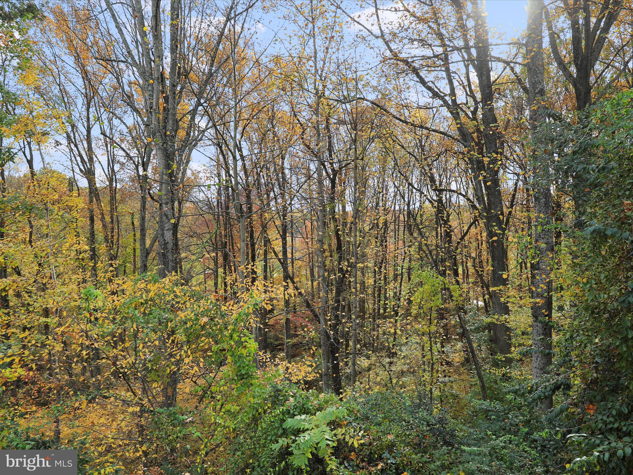 1350 Hunter Mill Road Reston, VA 20190 - Photo 73 of 75