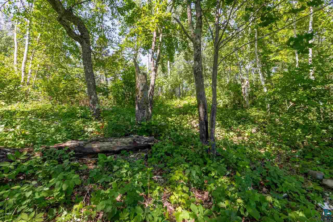 Tbd Swanson Shores Road Ely, MN 55731 - Photo 20 of 24 Gallery Image 20