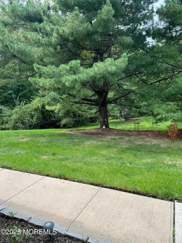 a view of a park with a tree in the background