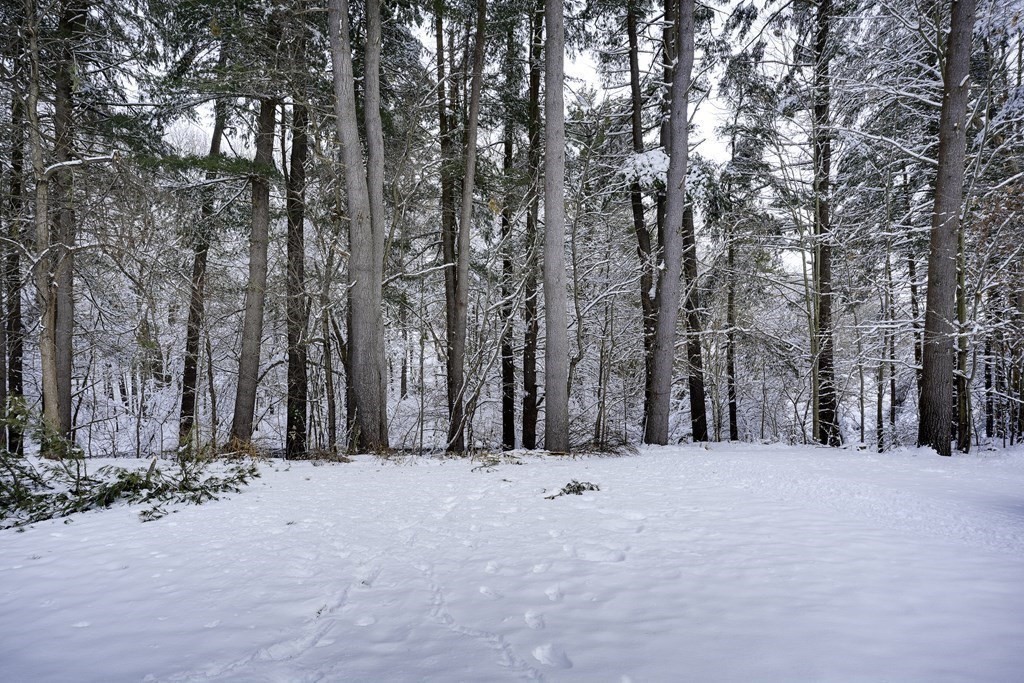 120 Breckenridge Road Tewksbury, MA 01876 - Photo 7 of 30 Gallery Image 7