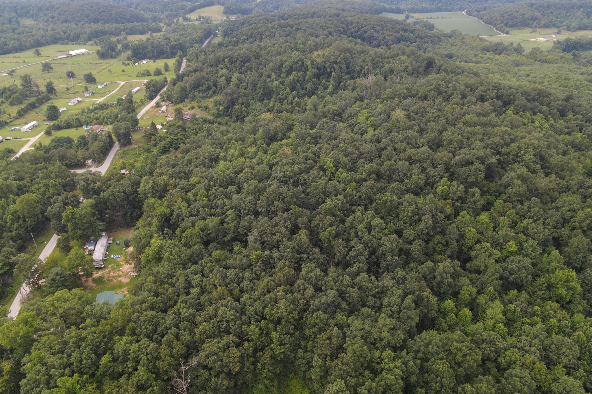 Lot-1 Stulltown Road Mount Sterling, KY 40353 - Photo 2 of 3 DJI_0639
