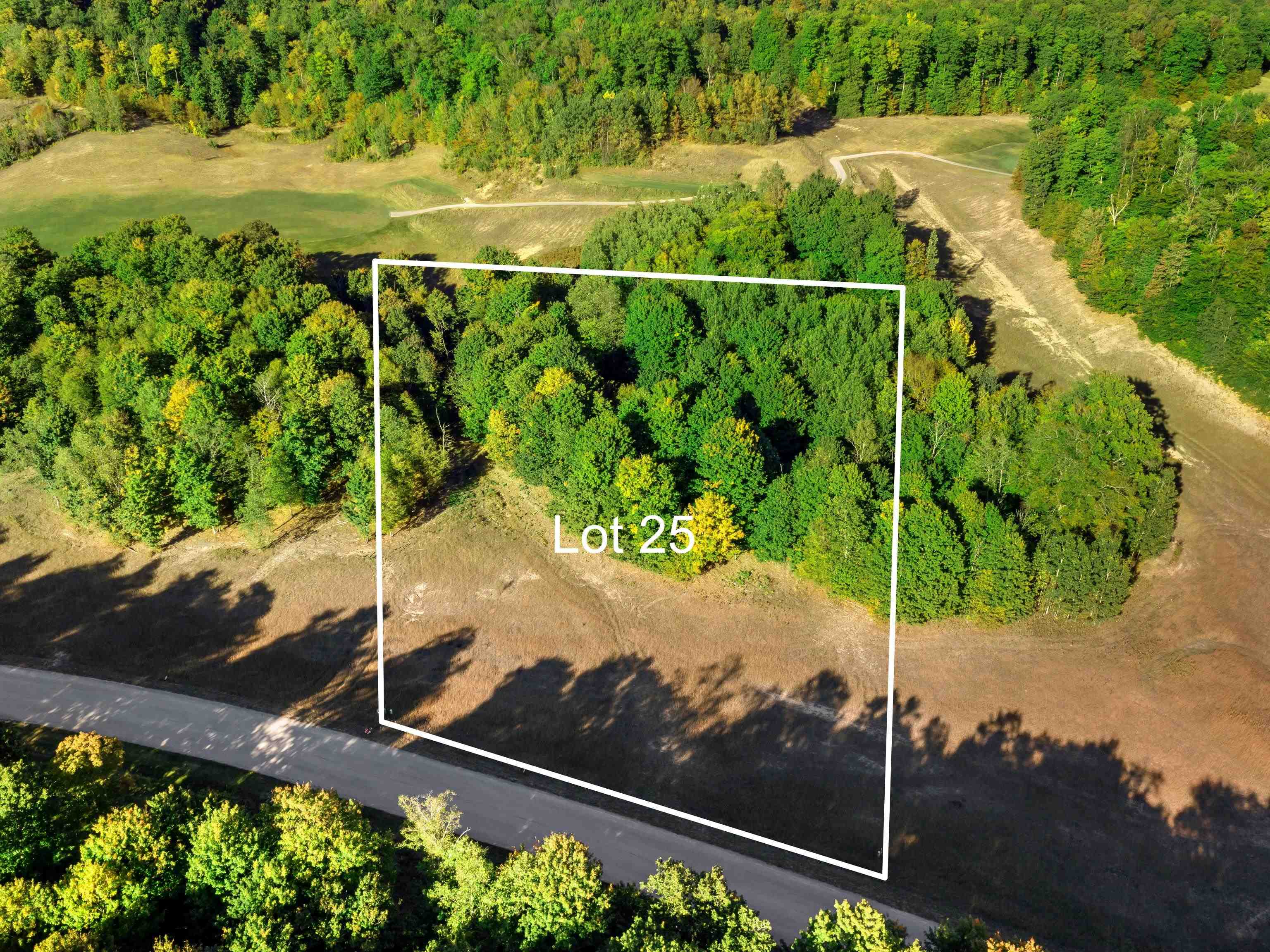 25 Heather Ridge Trail Beulah, MI 49617 - Photo 1 of 11