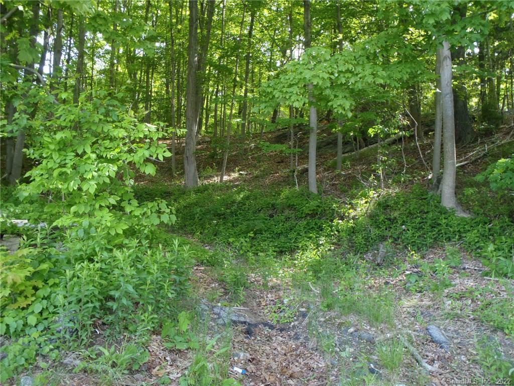 0 Wawecus Hill Road Norwich, CT 06360 - Photo 1 of 1 Gallery Image 1