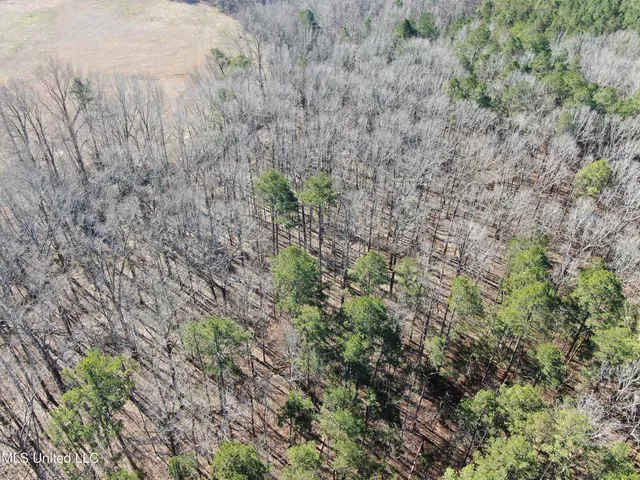 $259,000 | 20259 Highway 72, Walnut, MS 38683