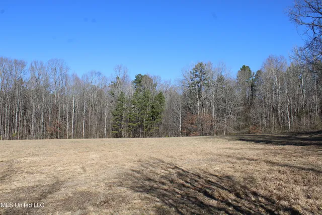 $259,000 | 20259 Highway 72, Walnut, MS 38683