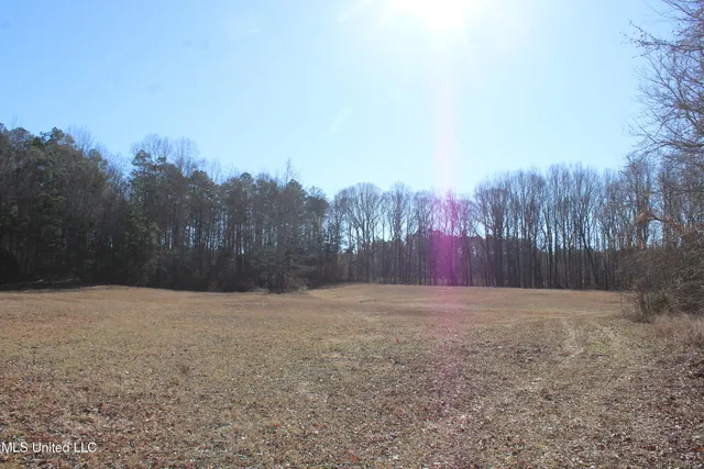 $259,000 | 20259 Highway 72, Walnut, MS 38683