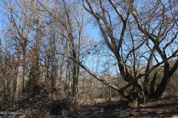 $259,000 | 20259 Highway 72, Walnut, MS 38683