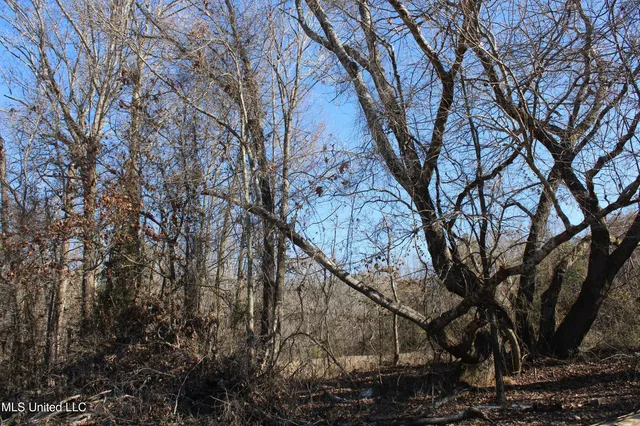 $259,000 | 20259 Highway 72, Walnut, MS 38683