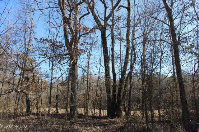 $259,000 | 20259 Highway 72, Walnut, MS 38683