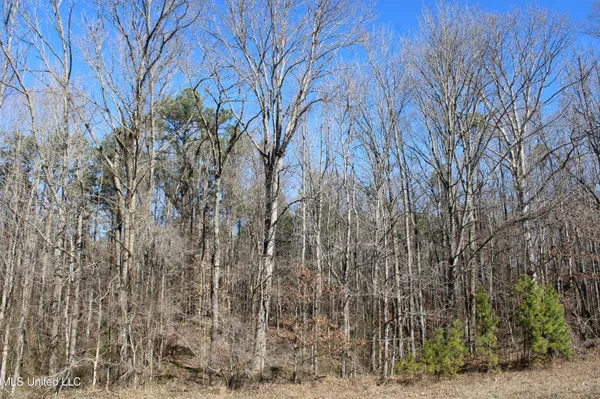 $259,000 | 20259 Highway 72, Walnut, MS 38683