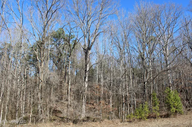 $259,000 | 20259 Highway 72, Walnut, MS 38683