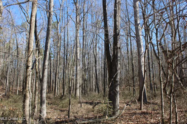 $259,000 | 20259 Highway 72, Walnut, MS 38683