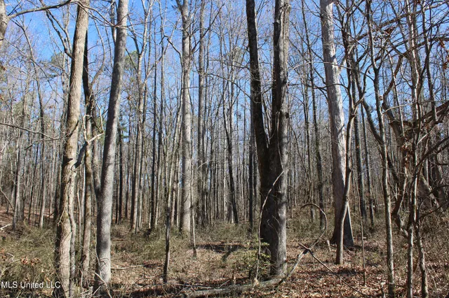 $259,000 | 20259 Highway 72, Walnut, MS 38683