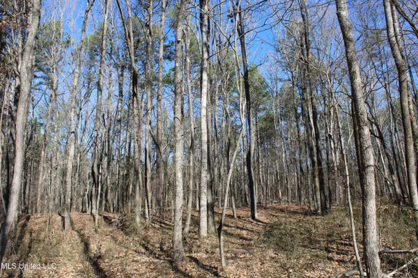 $259,000 | 20259 Highway 72, Walnut, MS 38683