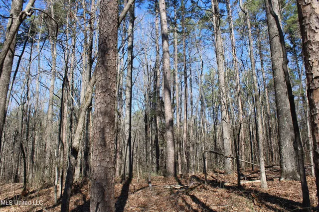 $259,000 | 20259 Highway 72, Walnut, MS 38683