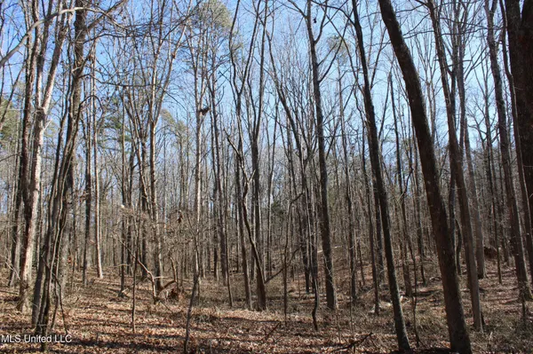 $259,000 | 20259 Highway 72, Walnut, MS 38683