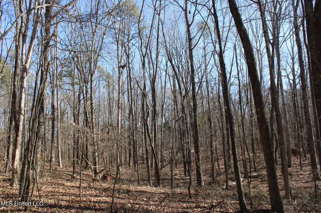 $259,000 | 20259 Highway 72, Walnut, MS 38683