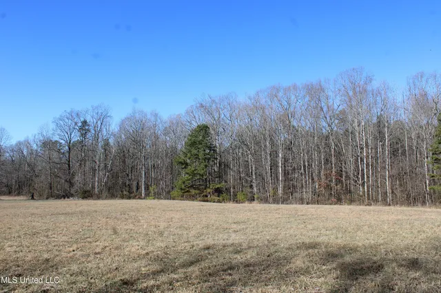 $259,000 | 20259 Highway 72, Walnut, MS 38683