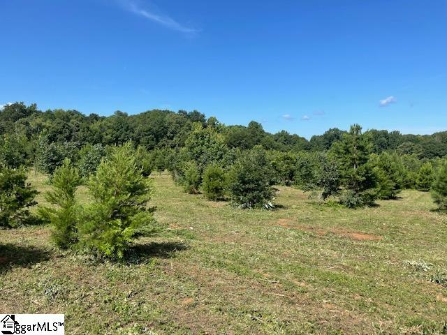 Canty Road Pelzer, SC 29669 - Photo 1 of 9