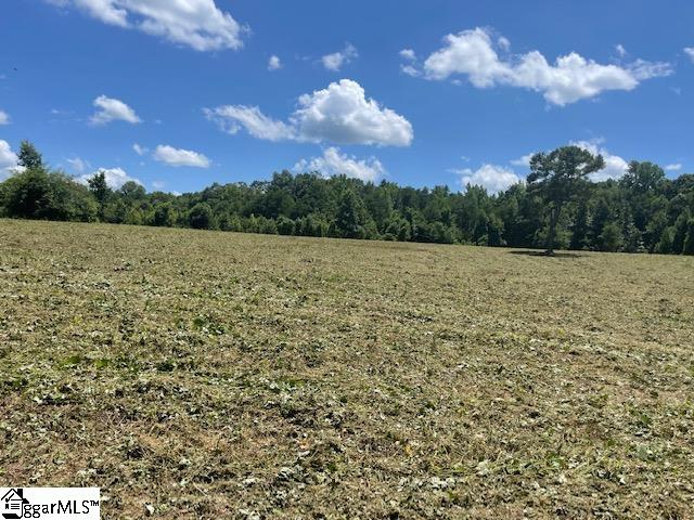 Canty Road Pelzer, SC 29669 - Photo 2 of 9