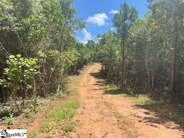 Canty Road Pelzer, SC 29669 - Photo 3 of 9