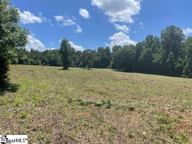 Canty Road Pelzer, SC 29669 - Photo 7 of 9