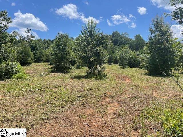 Canty Road Pelzer, SC 29669 - Photo 8 of 9